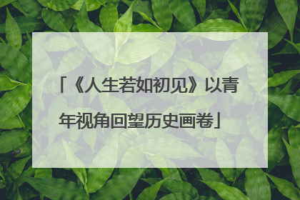 《人生若如初见》以青年视角回望历史画卷