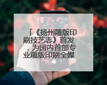 《扬州雕版印刷技艺志》首发，为国内首部专业雕版印刷全媒体志书
