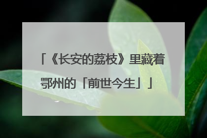 《长安的荔枝》里藏着鄂州的「前世今生」
