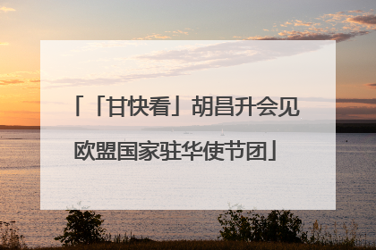 「甘快看」胡昌升会见欧盟国家驻华使节团