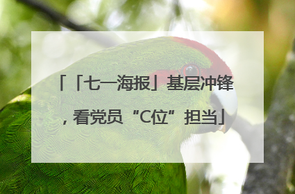 「七一海报」基层冲锋，看党员“C位”担当