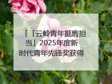 「云岭青年挺膺担当」2025年度新时代青年先锋奖获得者王敏奇——澜沧江上好渔人