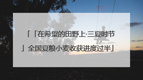 「在希望的田野上·三夏时节」全国夏粮小麦收获进度过半