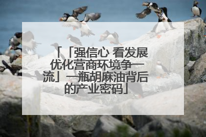 「强信心 看发展 优化营商环境争一流」一瓶胡麻油背后的产业密码