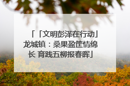 「文明彭泽在行动」龙城镇：桑果盈筐情绵长 育践五柳报春晖