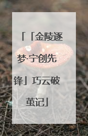 「金陵逐梦·宁创先锋」巧云破茧记