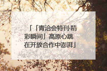 「青洽会特刊·精彩瞬间」高原心跳 在开放合作中澎湃