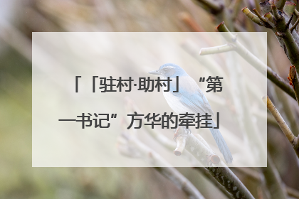 「驻村·助村」“第一书记”方华的牵挂