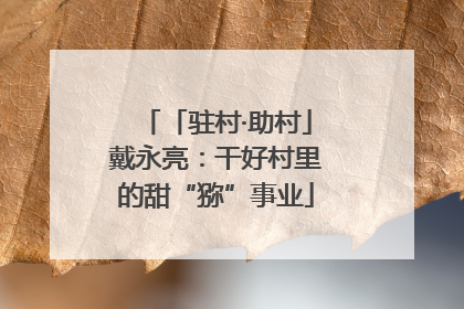 「驻村·助村」戴永亮：干好村里的甜“猕”事业