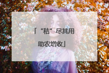 “秸”尽其用 助农增收
