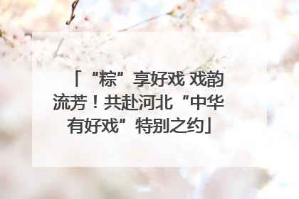“粽”享好戏 戏韵流芳！共赴河北“中华有好戏”特别之约