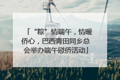 “粽”情端午，情暖侨心，巴西青田同乡总会举办端午慰侨活动