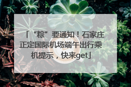 “粽”要通知！石家庄正定国际机场端午出行乘机提示，快来get