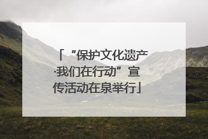 “保护文化遗产·我们在行动”宣传活动在泉举行