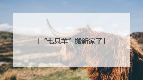 “七只羊”搬新家了