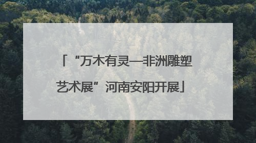 “万木有灵—非洲雕塑艺术展”河南安阳开展