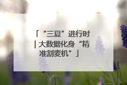 “三夏”进行时｜大数据化身“精准割麦机”