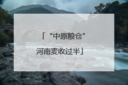 “中原粮仓”河南麦收过半