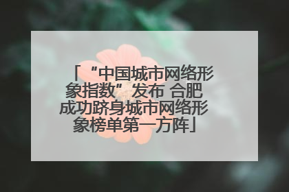 “中国城市网络形象指数”发布 合肥成功跻身城市网络形象榜单第一方阵