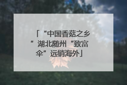 “中国香菇之乡”湖北随州“致富伞”远销海外