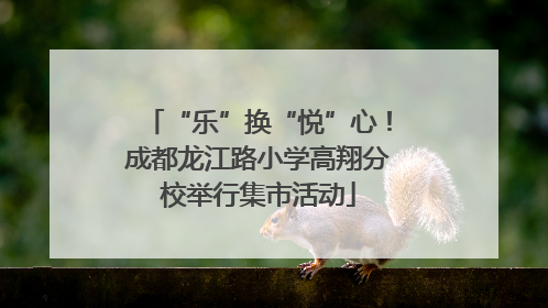 “乐”换“悦”心！成都龙江路小学高翔分校举行集市活动