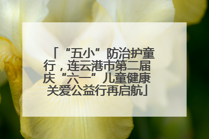 “五小”防治护童行，连云港市第二届庆“六一”儿童健康关爱公益行再启航