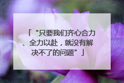 “只要我们齐心合力、全力以赴，就没有解决不了的问题”