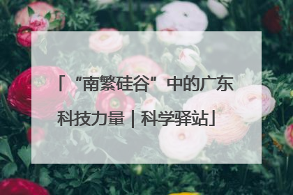 “南繁硅谷”中的广东科技力量｜科学驿站