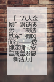 “八大金刚”聚链成势，“制造铁军”御风而行——透视深圳宝安高质量发展新活力
