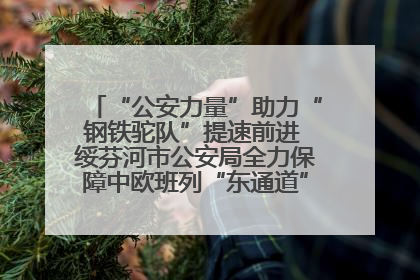 “公安力量”助力“钢铁驼队”提速前进 绥芬河市公安局全力保障中欧班列“东通道”绥芬河隧道贯通