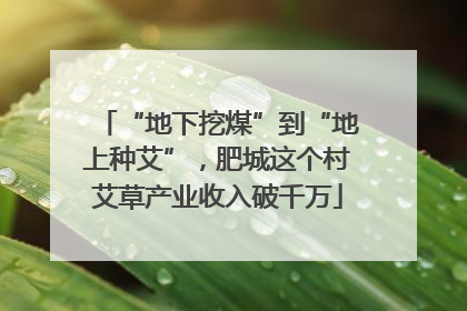 “地下挖煤”到“地上种艾”，肥城这个村艾草产业收入破千万