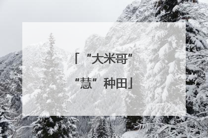 “大米哥”“慧”种田