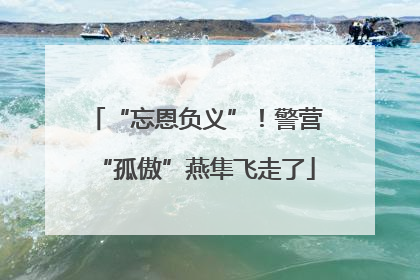 “忘恩负义”！警营“孤傲”燕隼飞走了