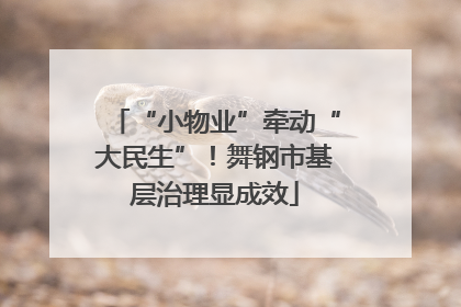 “小物业”牵动“大民生”！舞钢市基层治理显成效