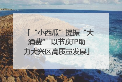 “小西瓜”提振“大消费” 以节庆IP助力大兴区高质量发展