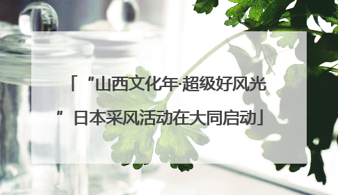“山西文化年·超级好风光”日本采风活动在大同启动