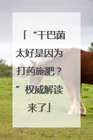 “干巴菌太好是因为打药施肥？”权威解读来了