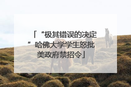 “极其错误的决定”哈佛大学学生怒批美政府禁招令