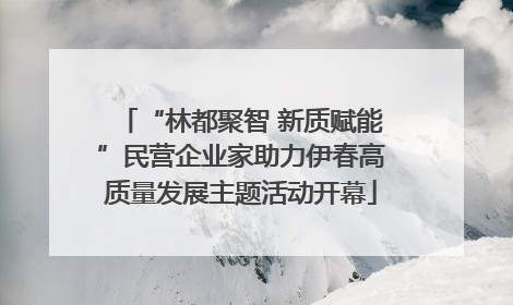 “林都聚智 新质赋能”民营企业家助力伊春高质量发展主题活动开幕