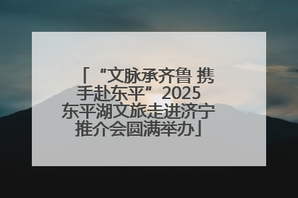 “文脉承齐鲁 携手赴东平”2025东平湖文旅走进济宁推介会圆满举办