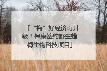 “梅”好经济再升级！保康签约野生蜡梅生物科技项目
