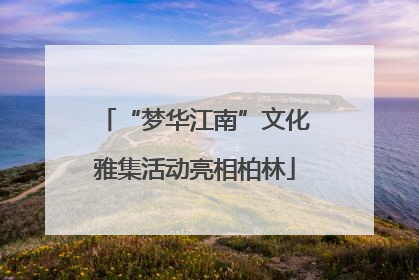 “梦华江南”文化雅集活动亮相柏林