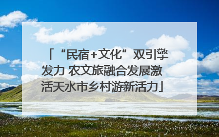 “民宿+文化”双引擎发力 农文旅融合发展激活天水市乡村游新活力