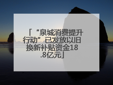 “泉城消费提升行动”已发放以旧换新补贴资金18.8亿元