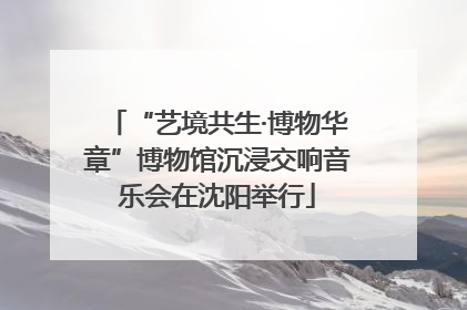 “艺境共生·博物华章”博物馆沉浸交响音乐会在沈阳举行