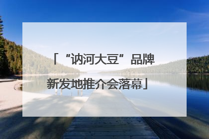 “讷河大豆”品牌新发地推介会落幕