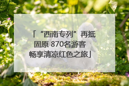 “西南专列”再抵固原 870名游客畅享清凉红色之旅