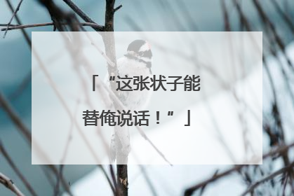 “这张状子能替俺说话！”