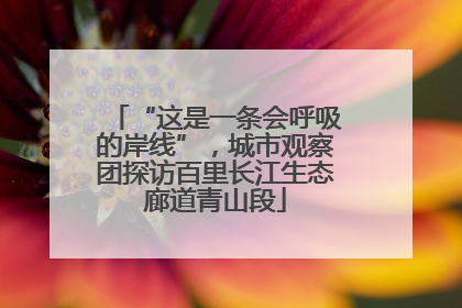 “这是一条会呼吸的岸线”，城市观察团探访百里长江生态廊道青山段