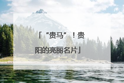 “贵马”！贵阳的亮丽名片